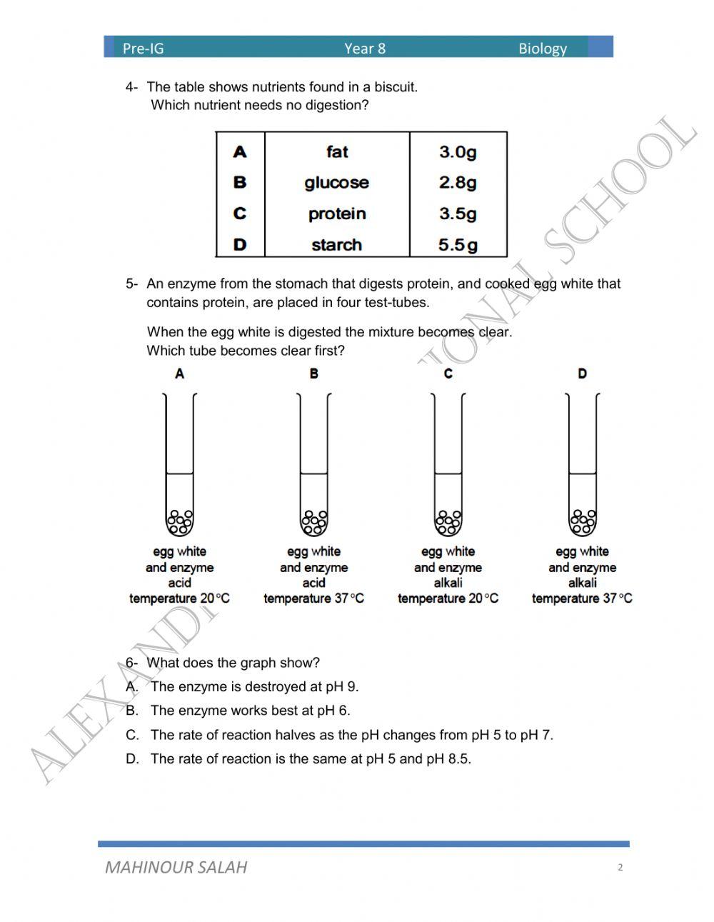Quiz on digestive system, circulatory system1