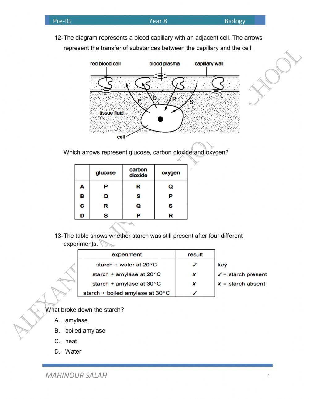 Quiz on digestive system, circulatory system1