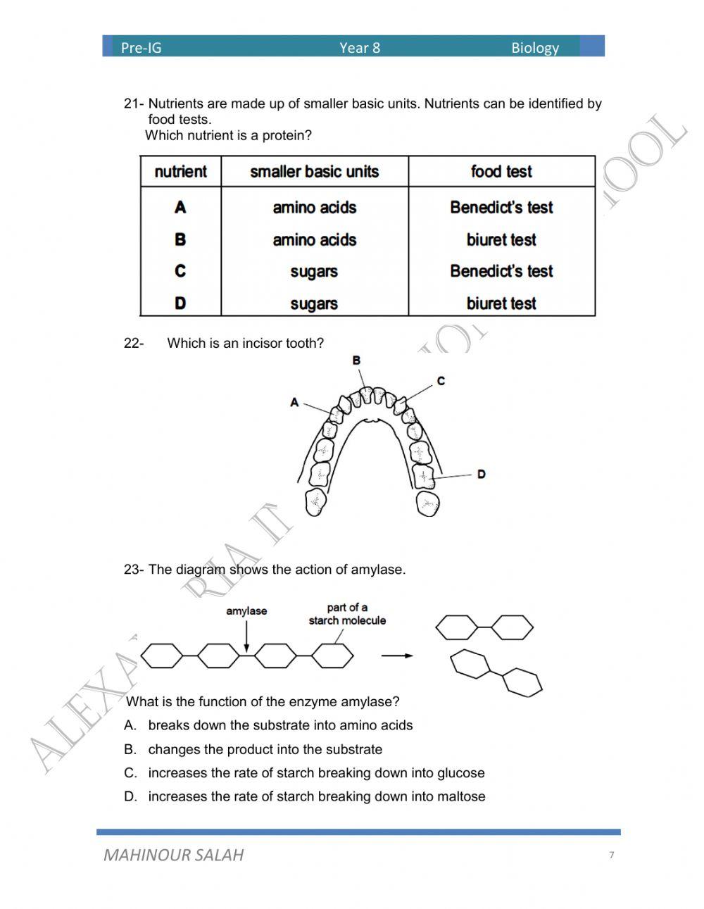 Quiz on digestive system, circulatory system1