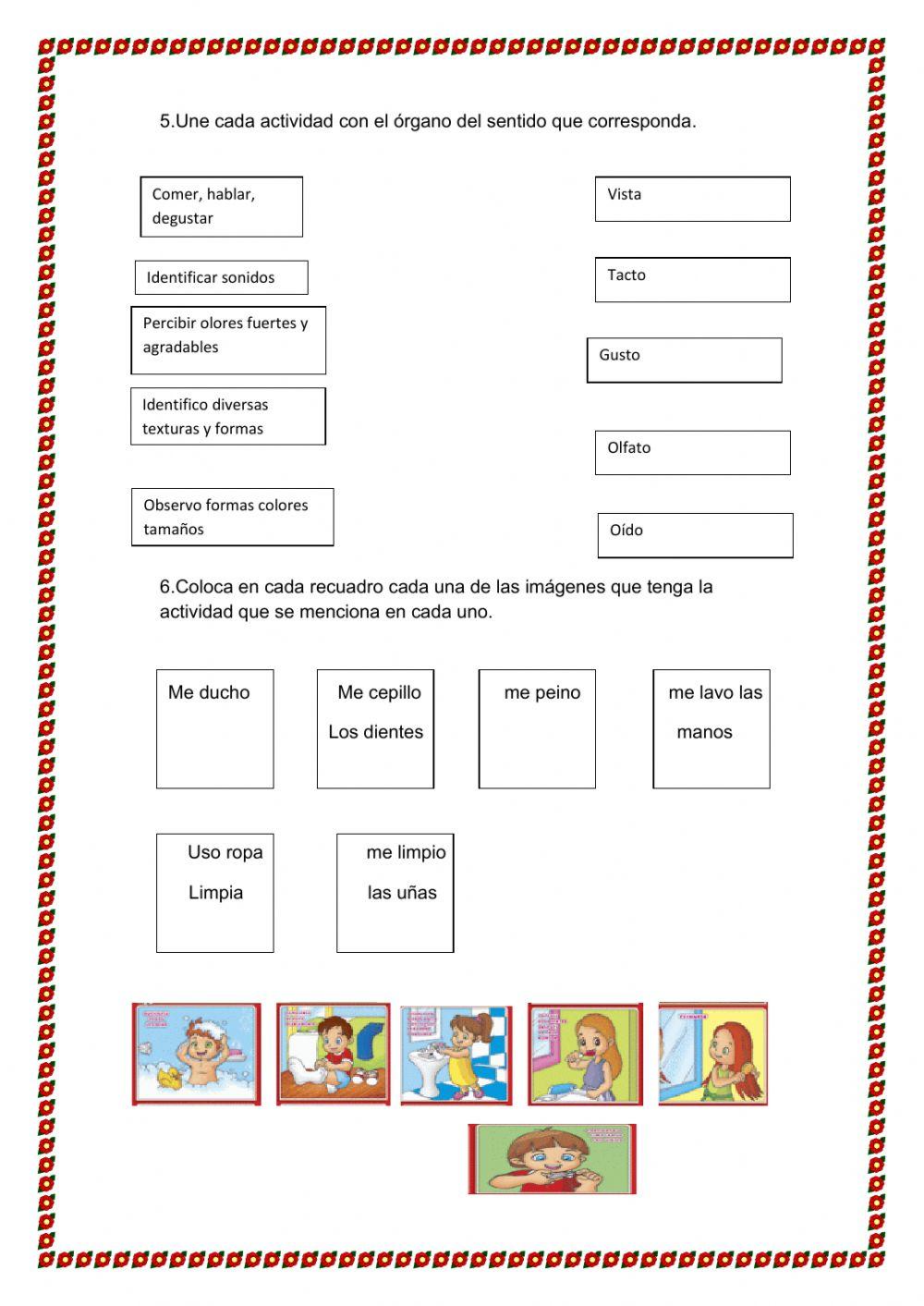 Evaluación de ciencias