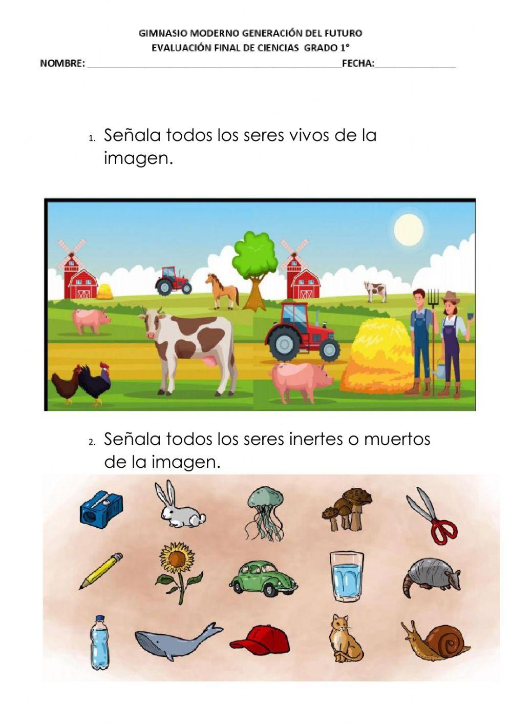 Examen Final Ciencias