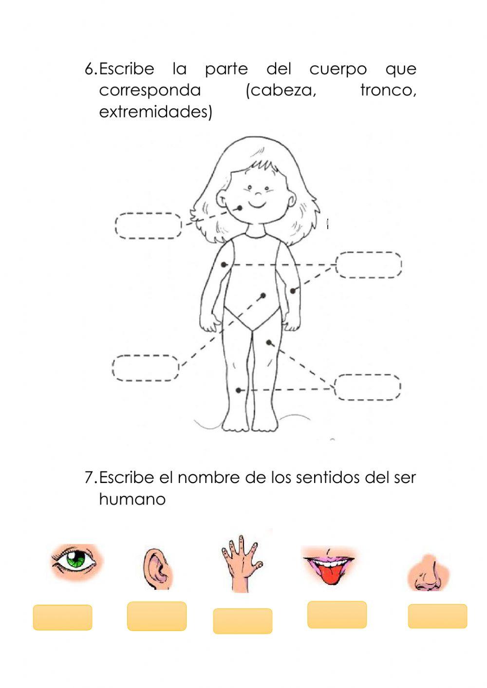 Examen Final Ciencias