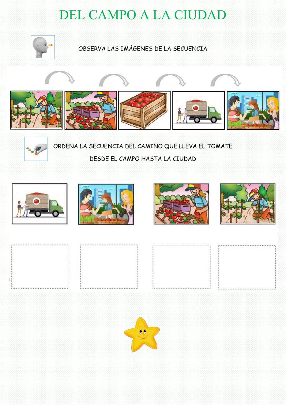 Del campo a la ciudad