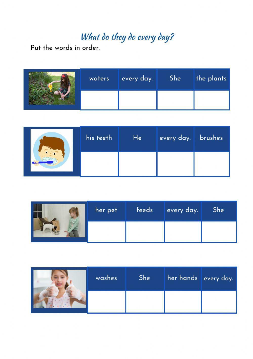 What do they do every day?