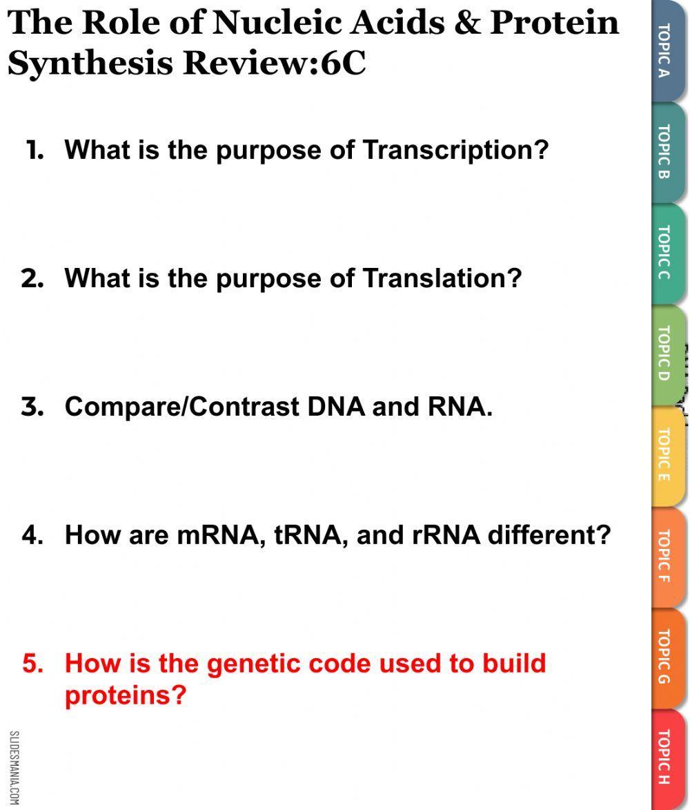 Unit 5 Role of Nucleic Acid & Protein Synthesis