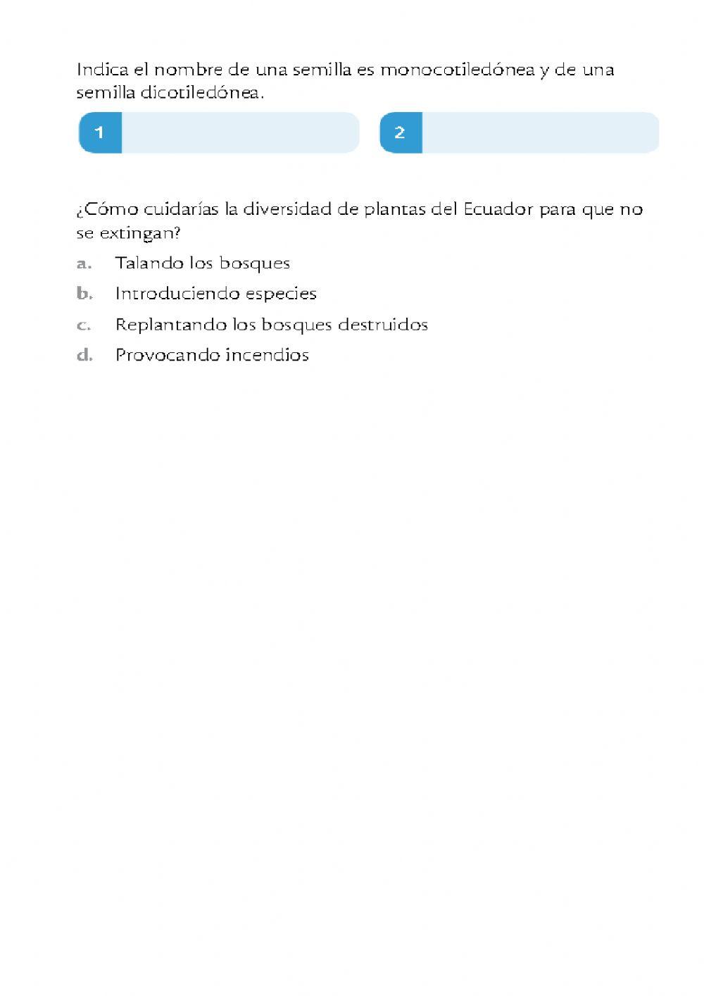 Caracteristicas de las plantas