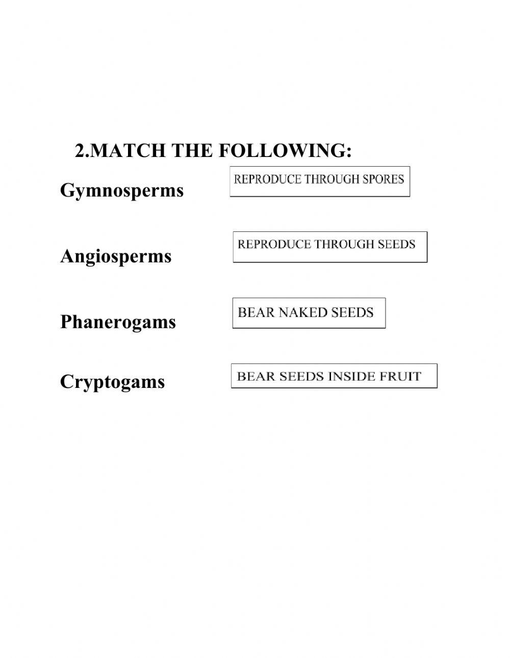 PLANT KINGDOM 1 online exercise for Live Worksheets