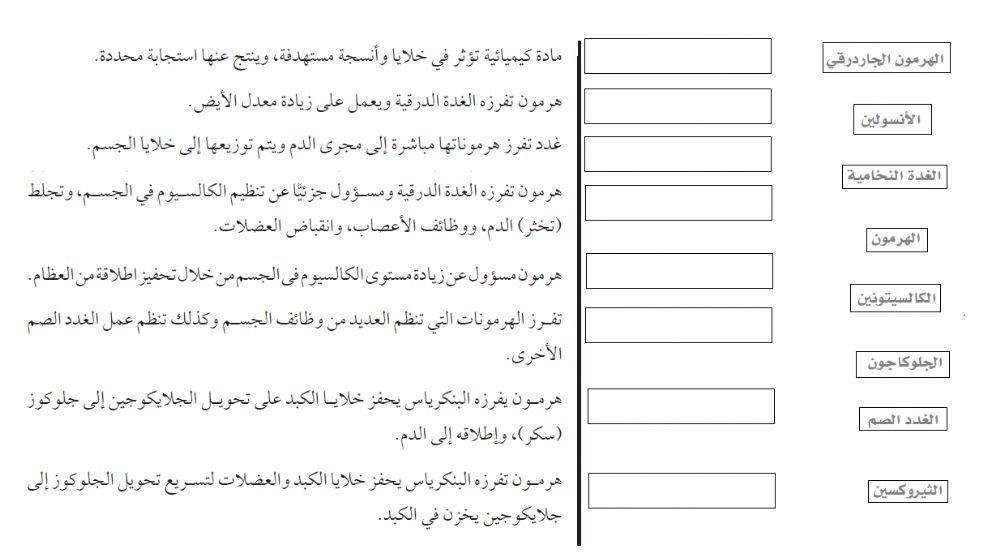 الغدد الصماء