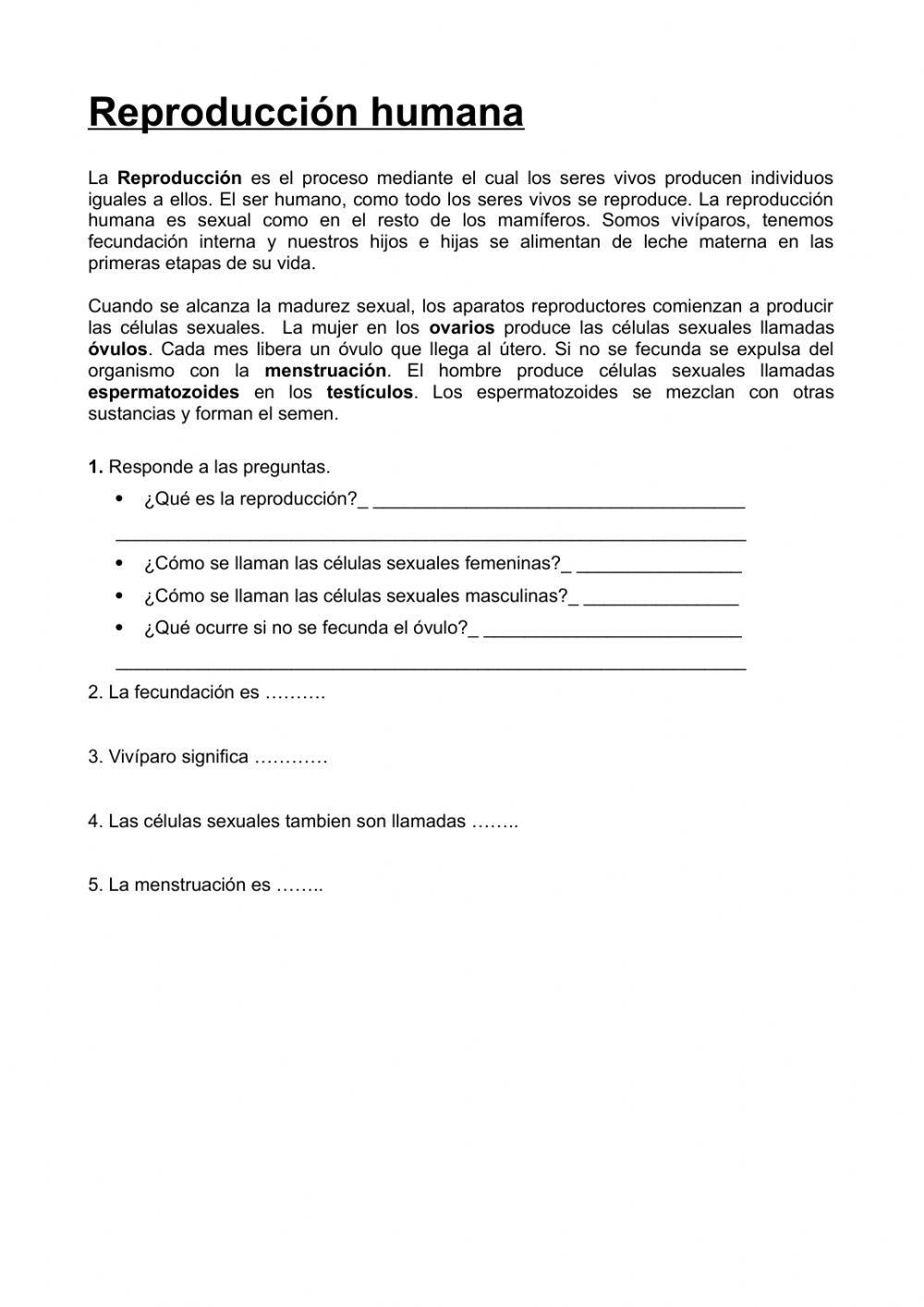 Reproducción humana