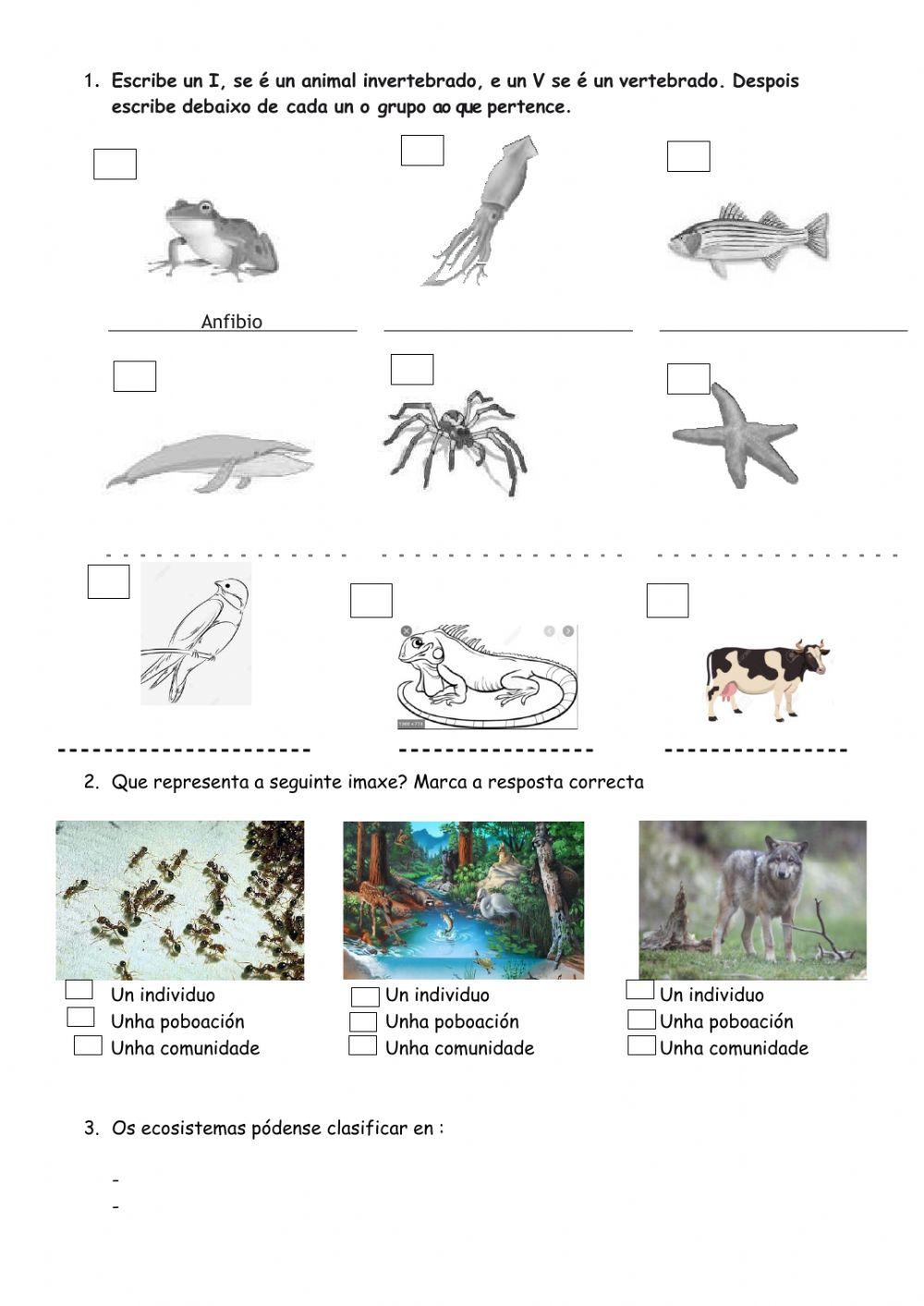 Invertebrados-Vertebrados