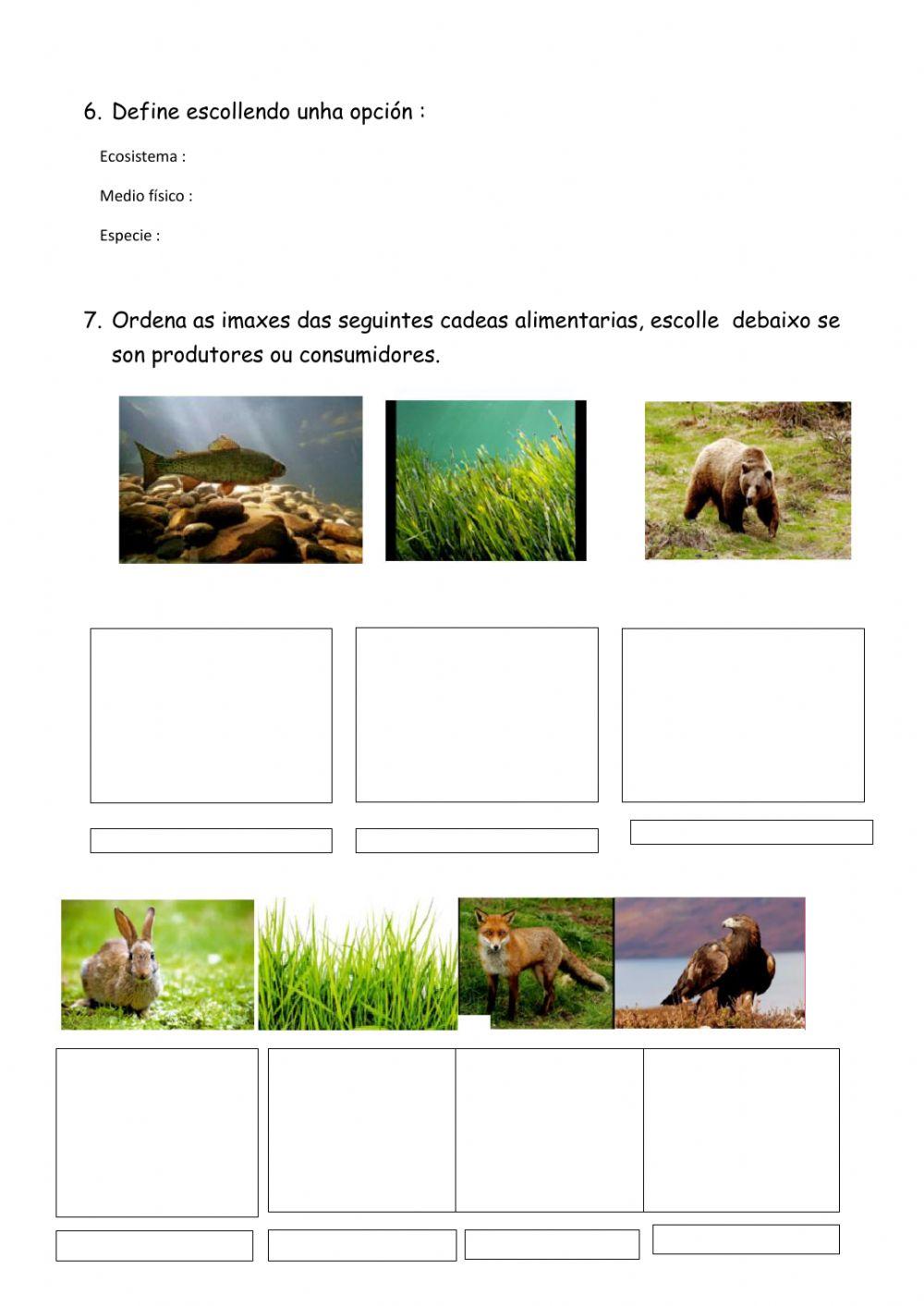 Invertebrados-Vertebrados