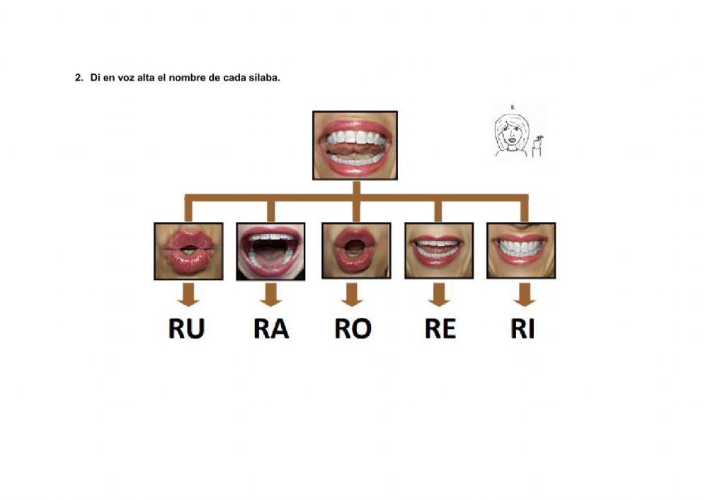 Articulación fonema RR