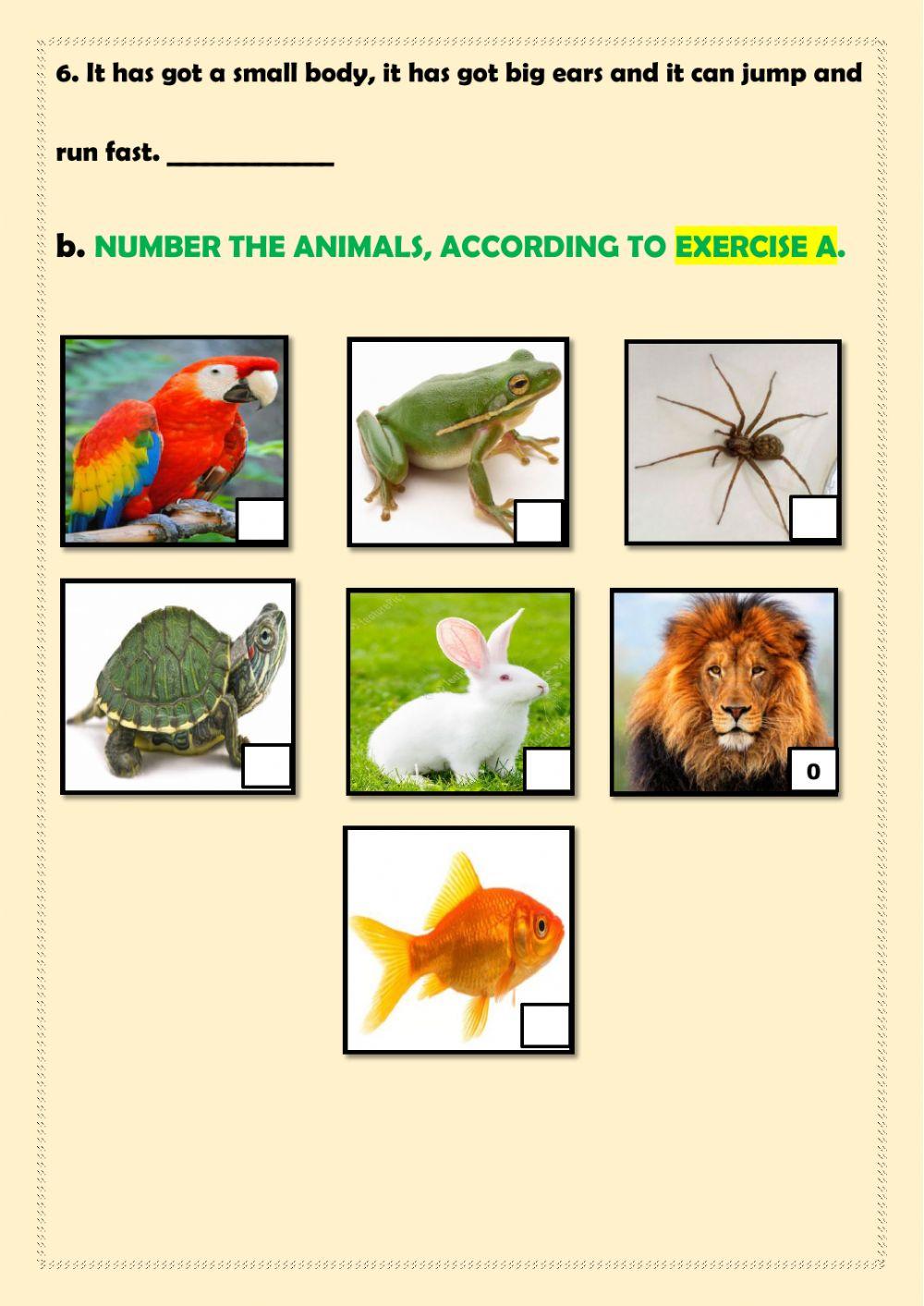 Answer the guesses-Number the pictures