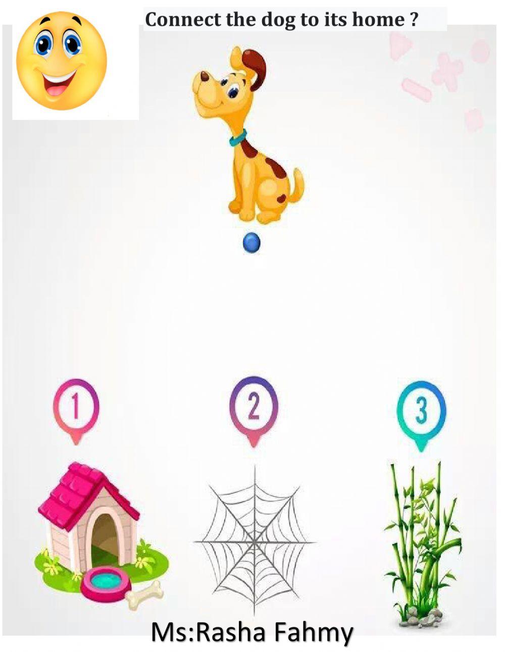 Connect the dog to its home?