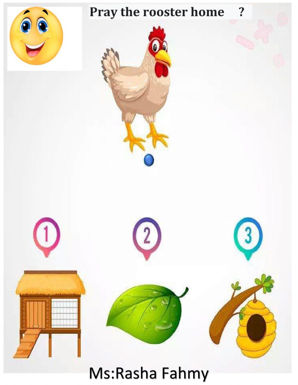 Connect the rosster to its home?