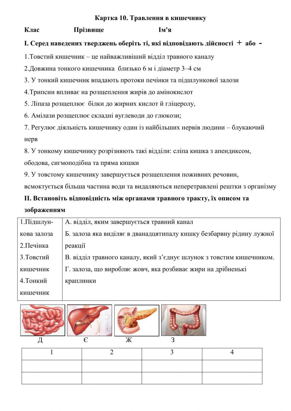 Травлення в кишечнику