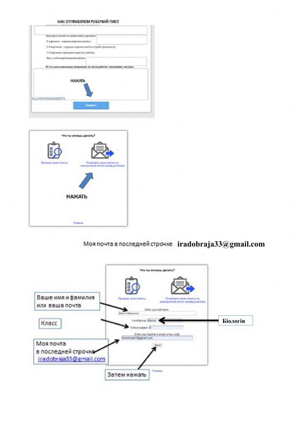 Травлення в кишечнику