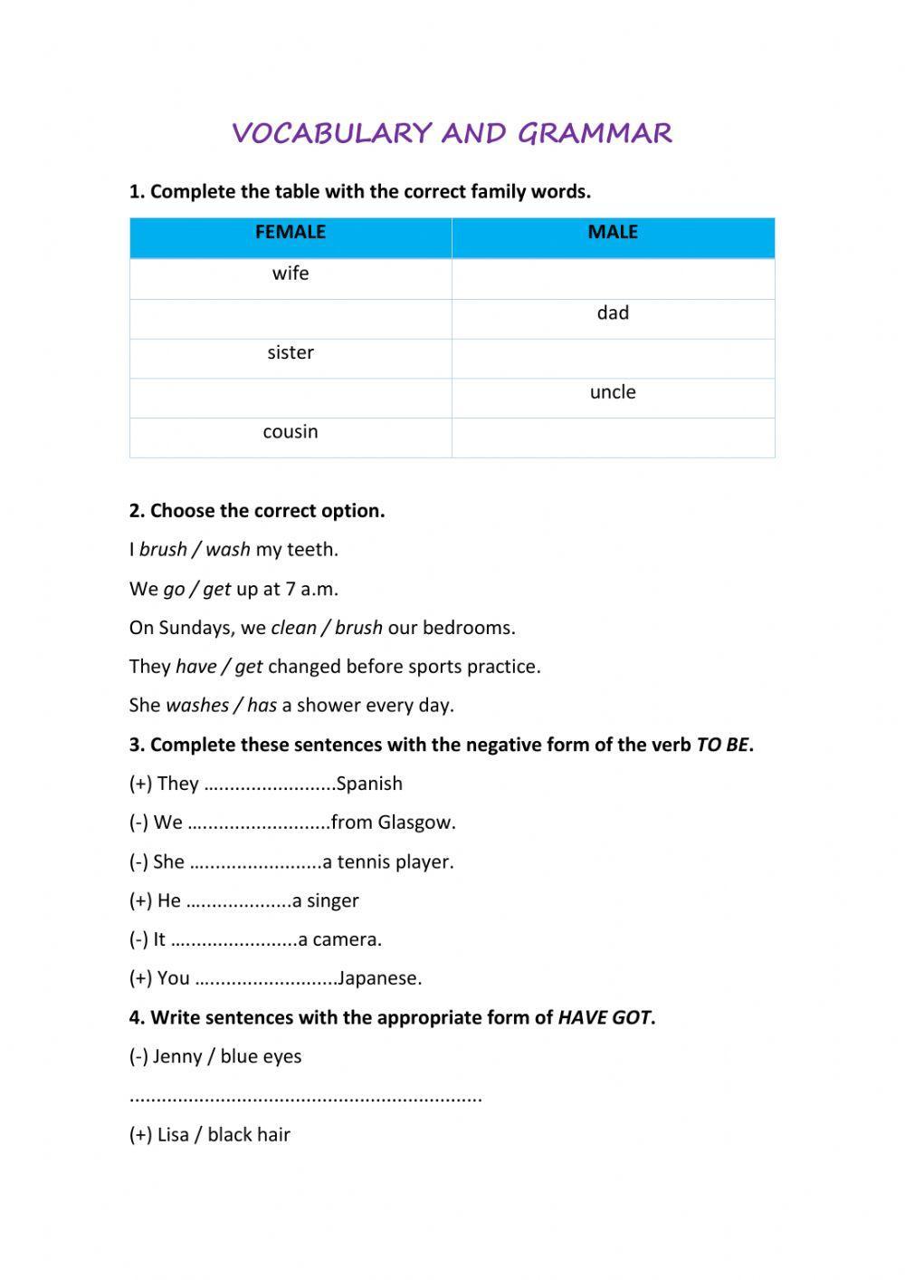 Vocabulary and grammar review