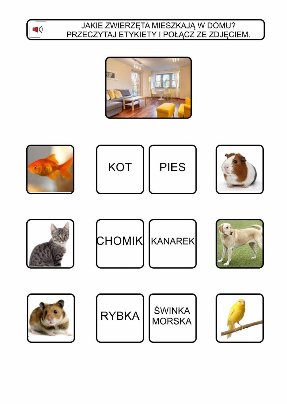 Zwierzęta na domu i w zoo