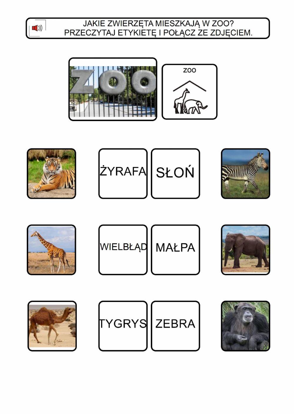 Zwierzęta na domu i w zoo