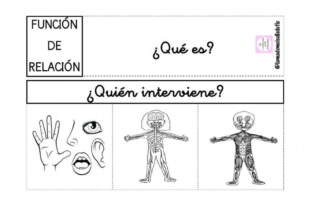 Funcion de relación