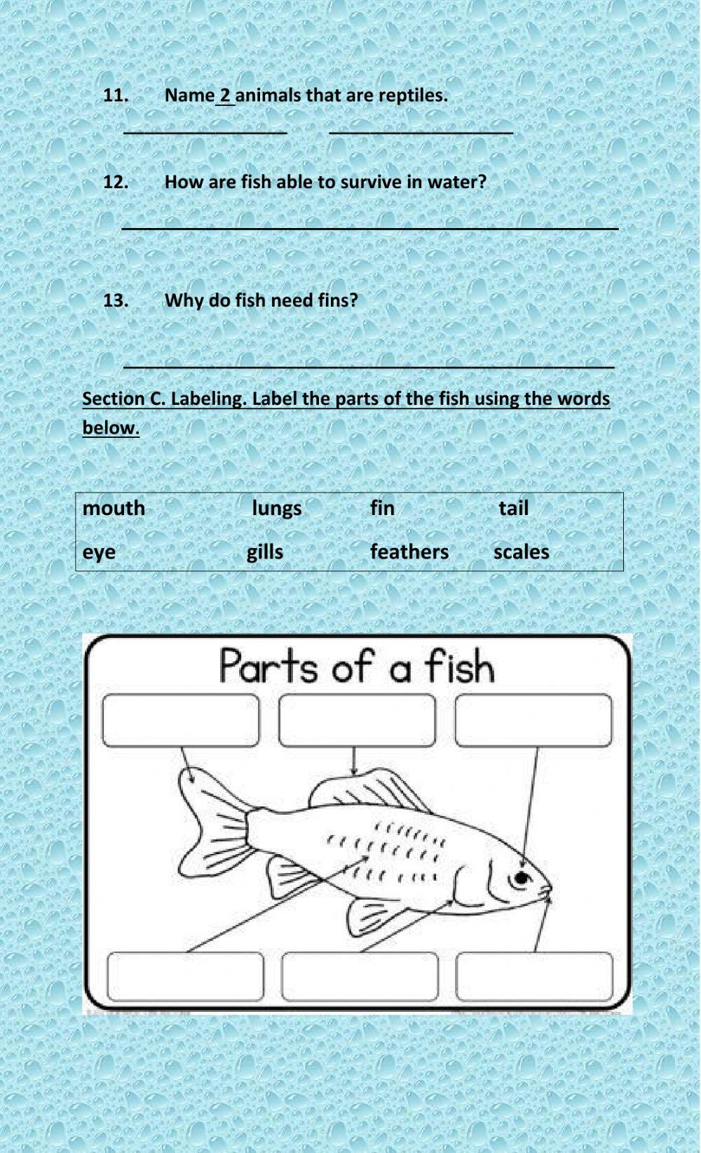 Fish and reptile quiz