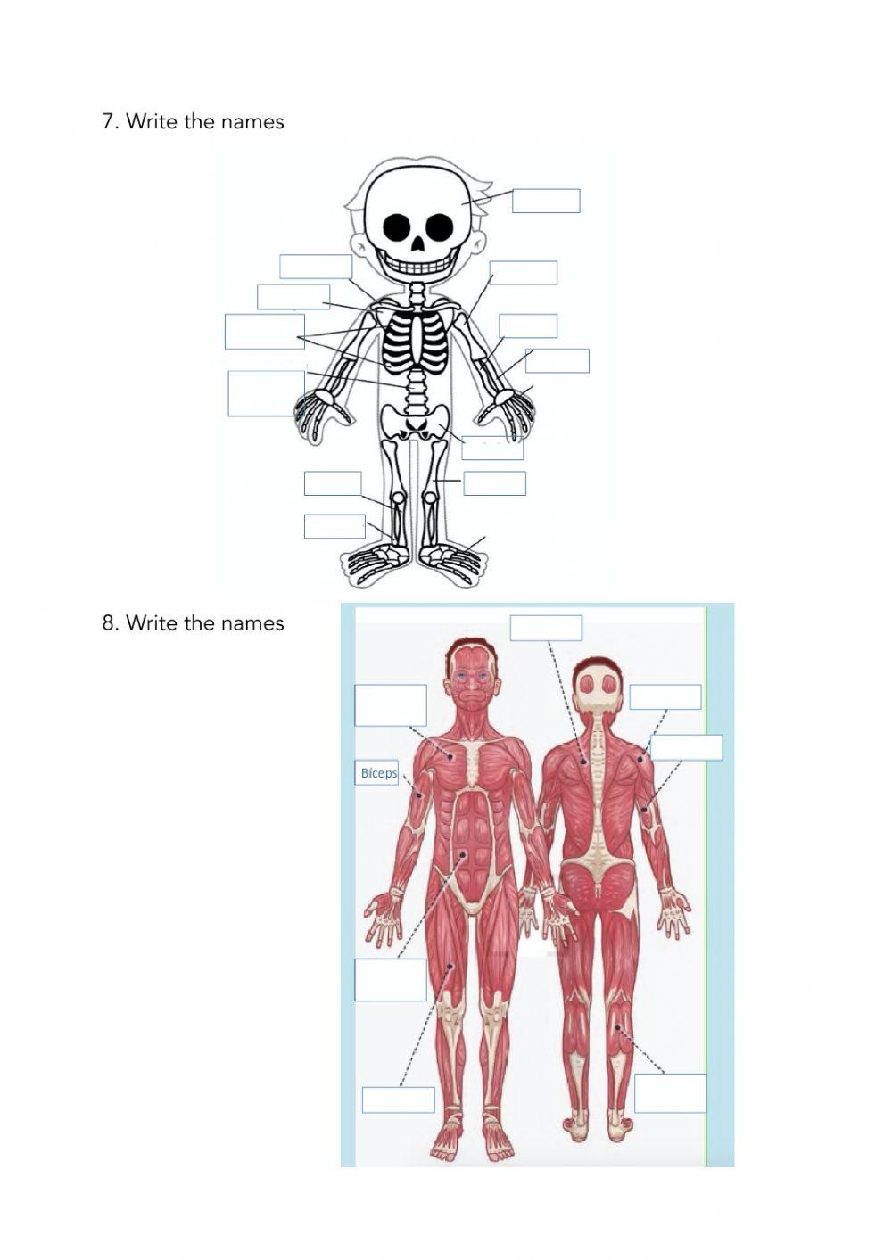 Unit 2 Test Natural Science
