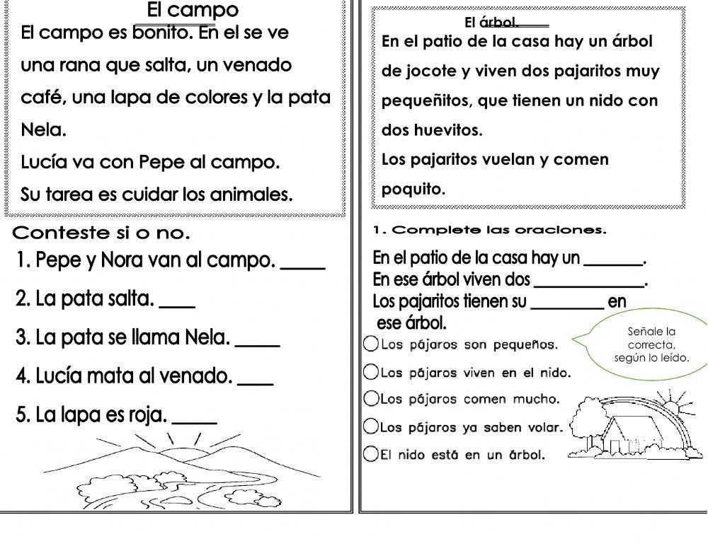 Comprensión de lectura para primer grado.