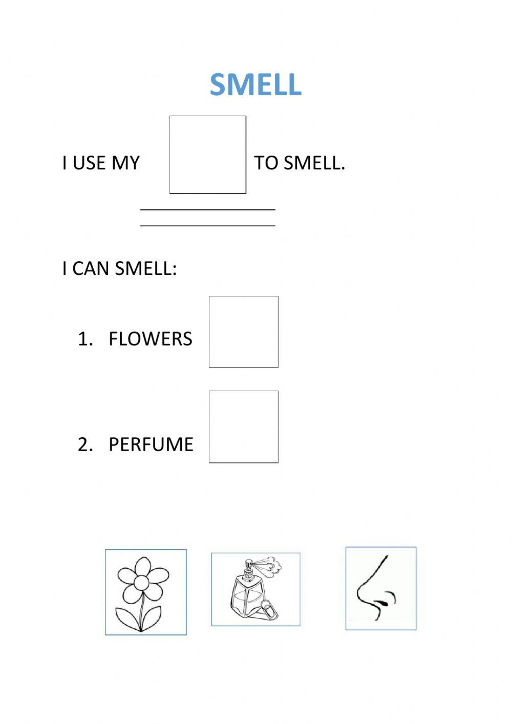 Smell
