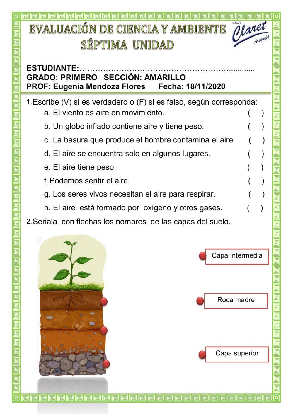 Evaluación  de ciencia