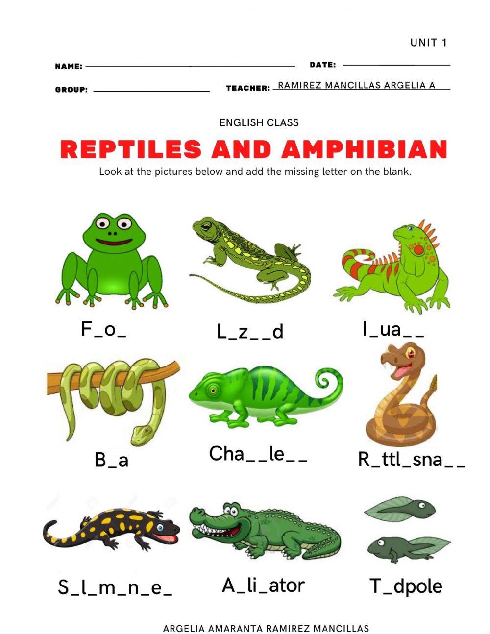 Animals online exercise for A2 Live Worksheets