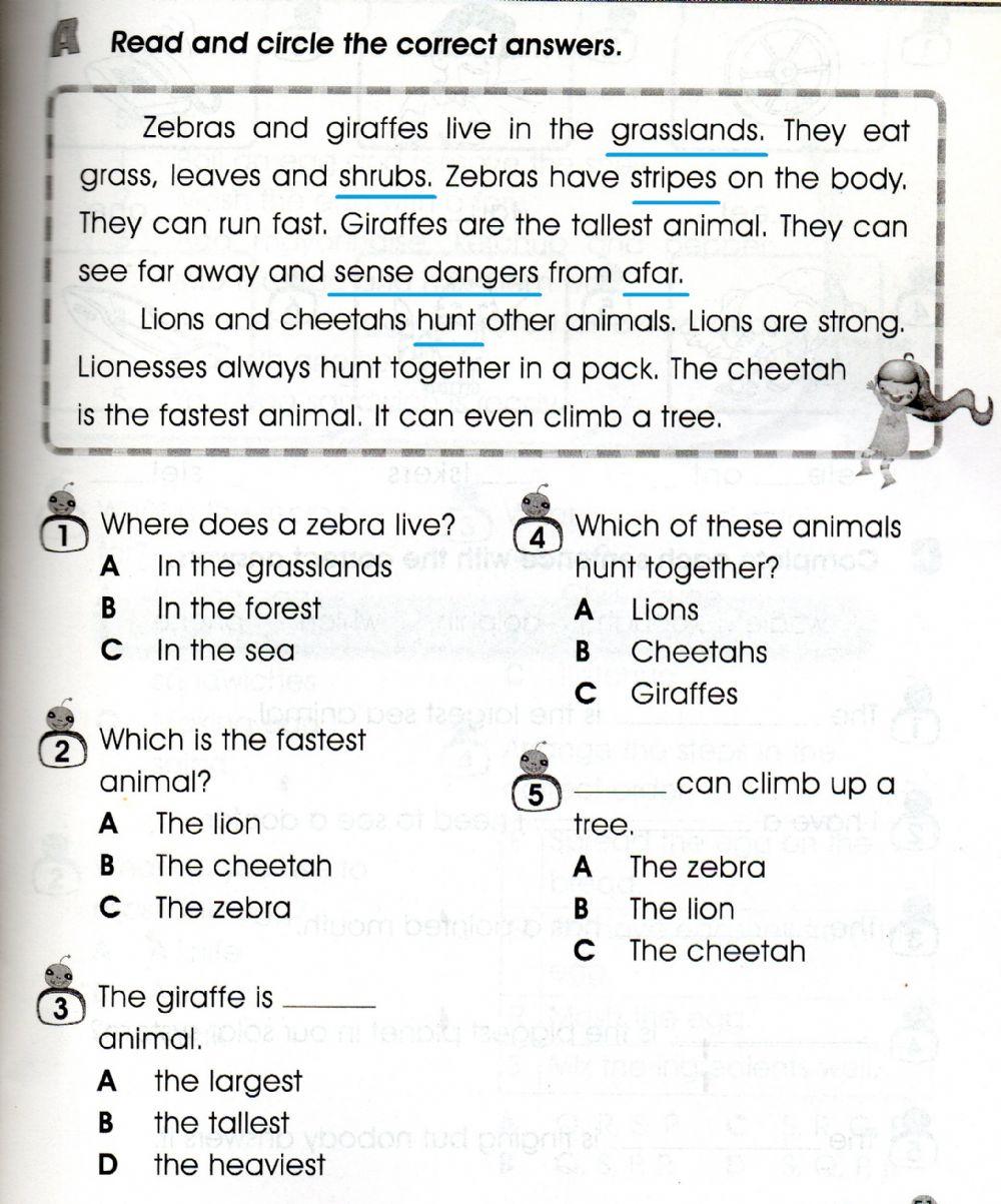 Year 3 Comprehension 1