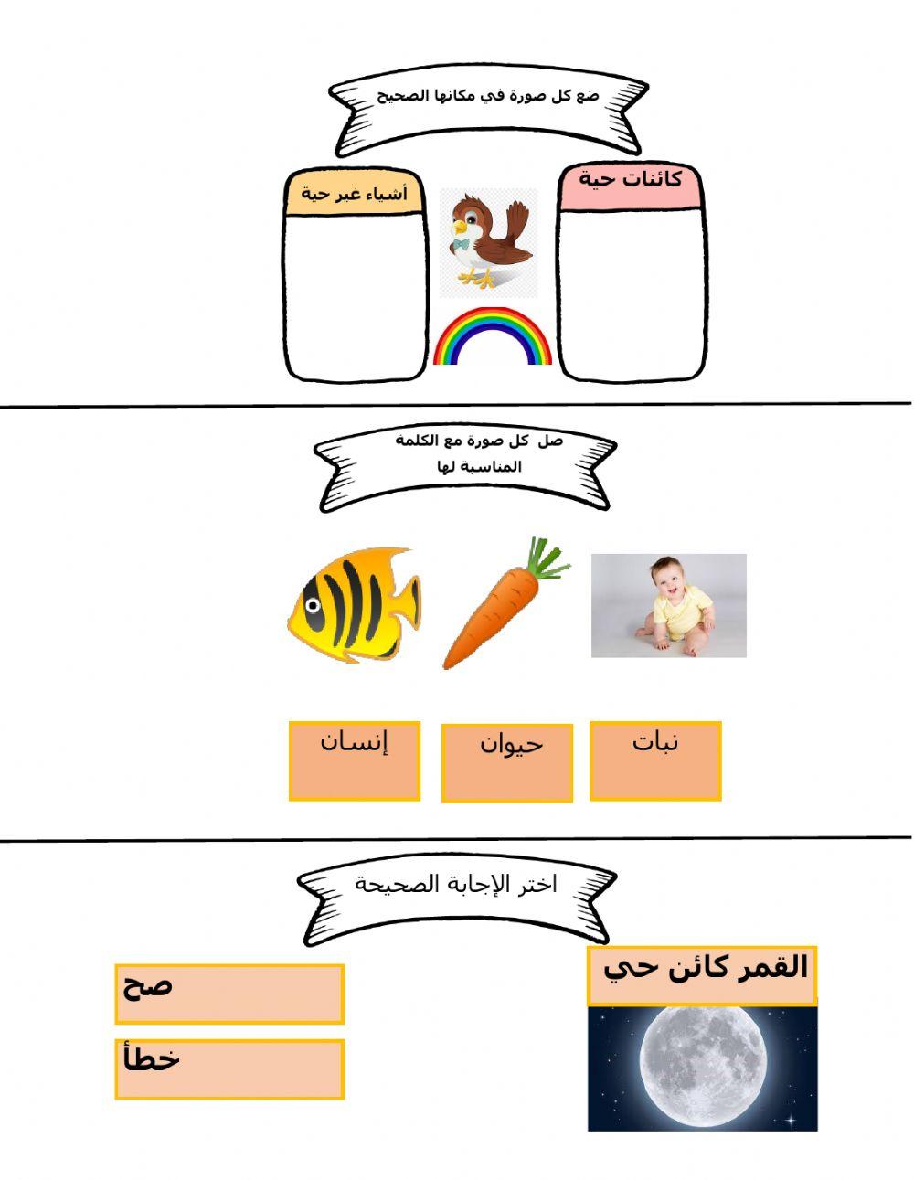 الكائنات الحية