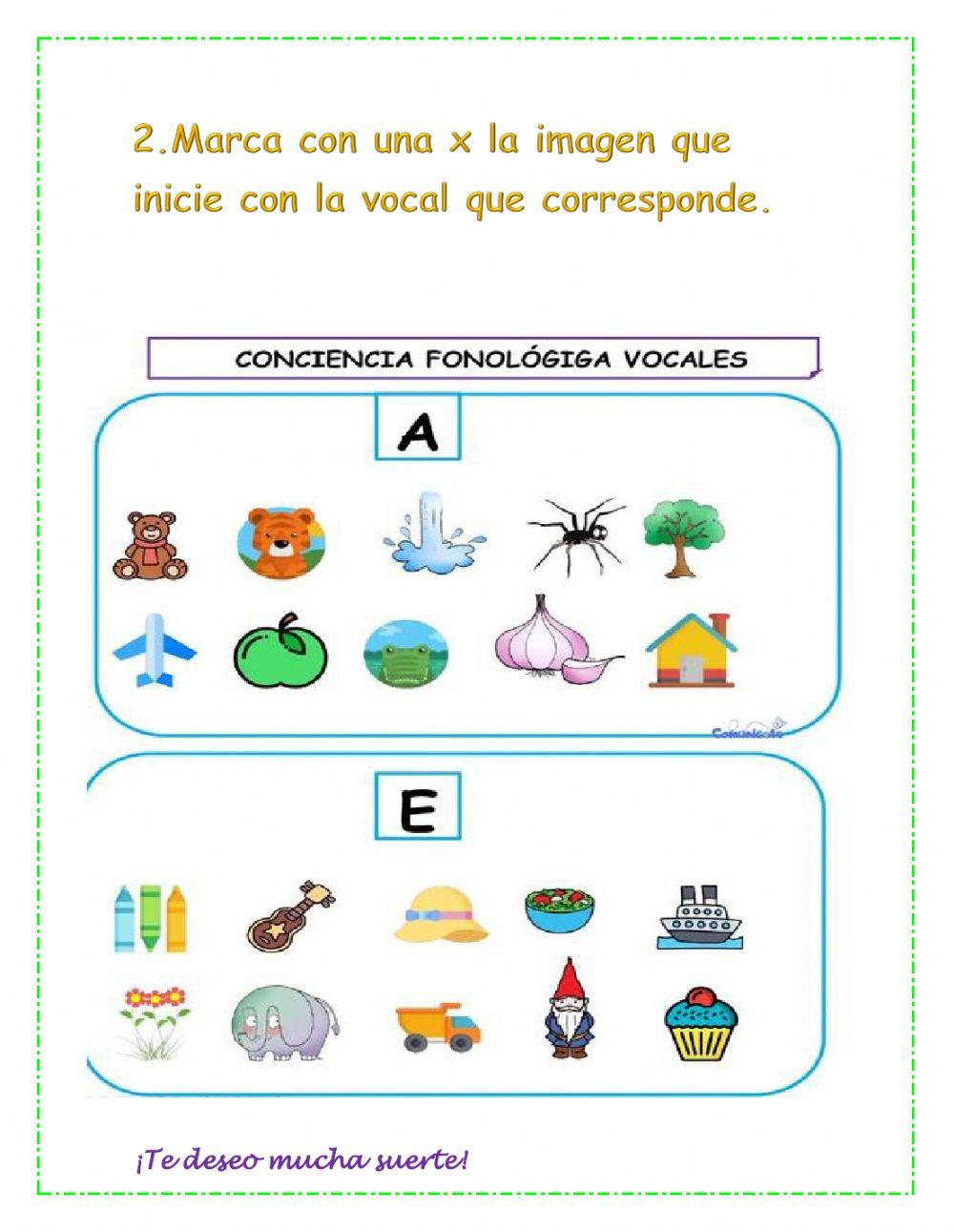 Evaluación cuarto periodo inclusion