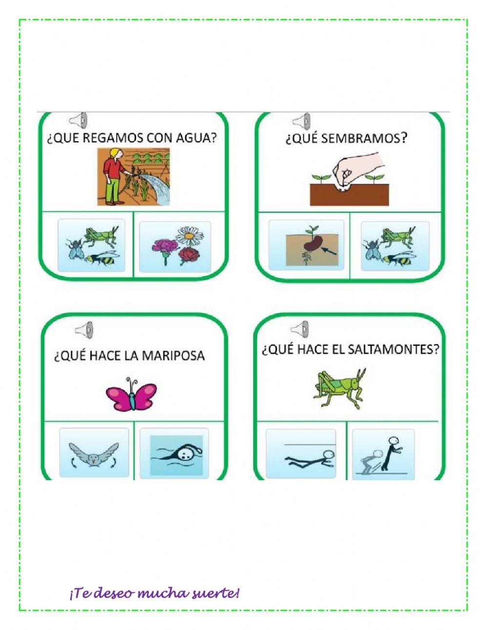 Evaluación cuarto periodo inclusion