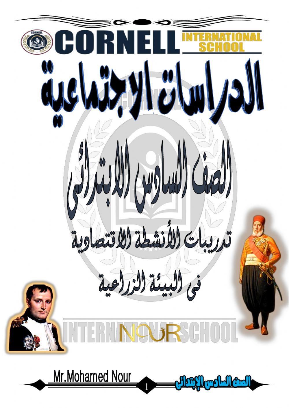 الأنشطة الاقتصادية فى البيئة الزراعية