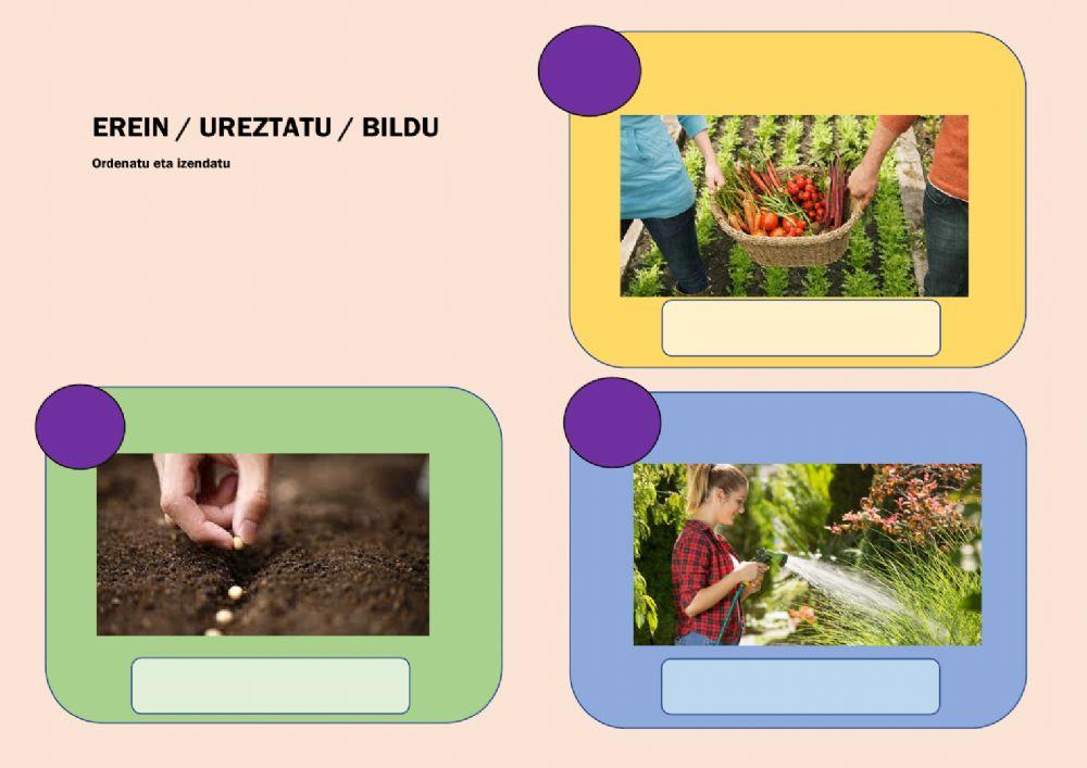 Erein, ureztatu, bildu