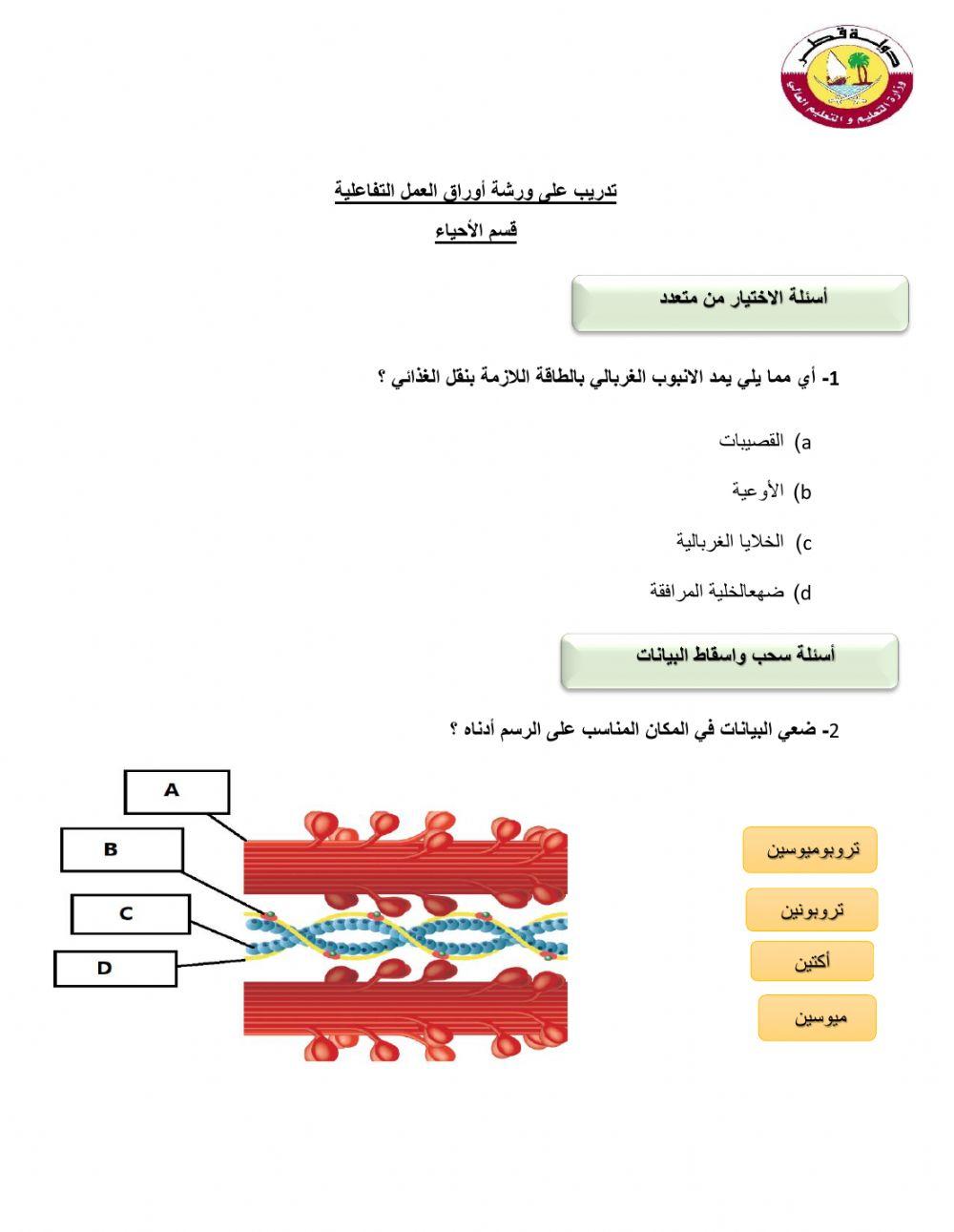 مراجعة احياء 12علمي