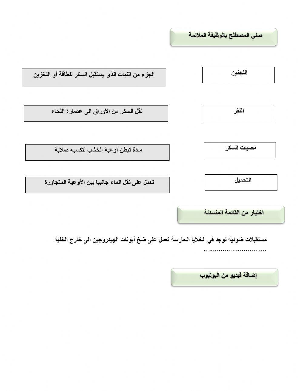 مراجعة احياء 12علمي