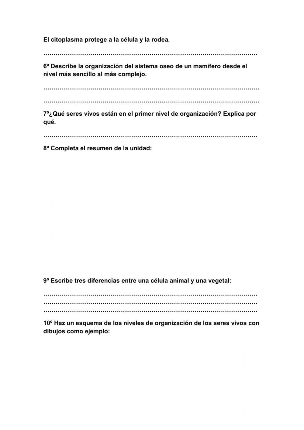 Preguntas sobre la organización de los seres vivos