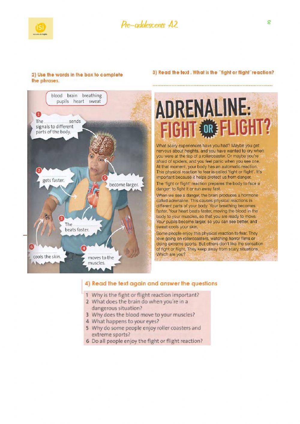 Pre-adolescents A2- Reading and Use of English