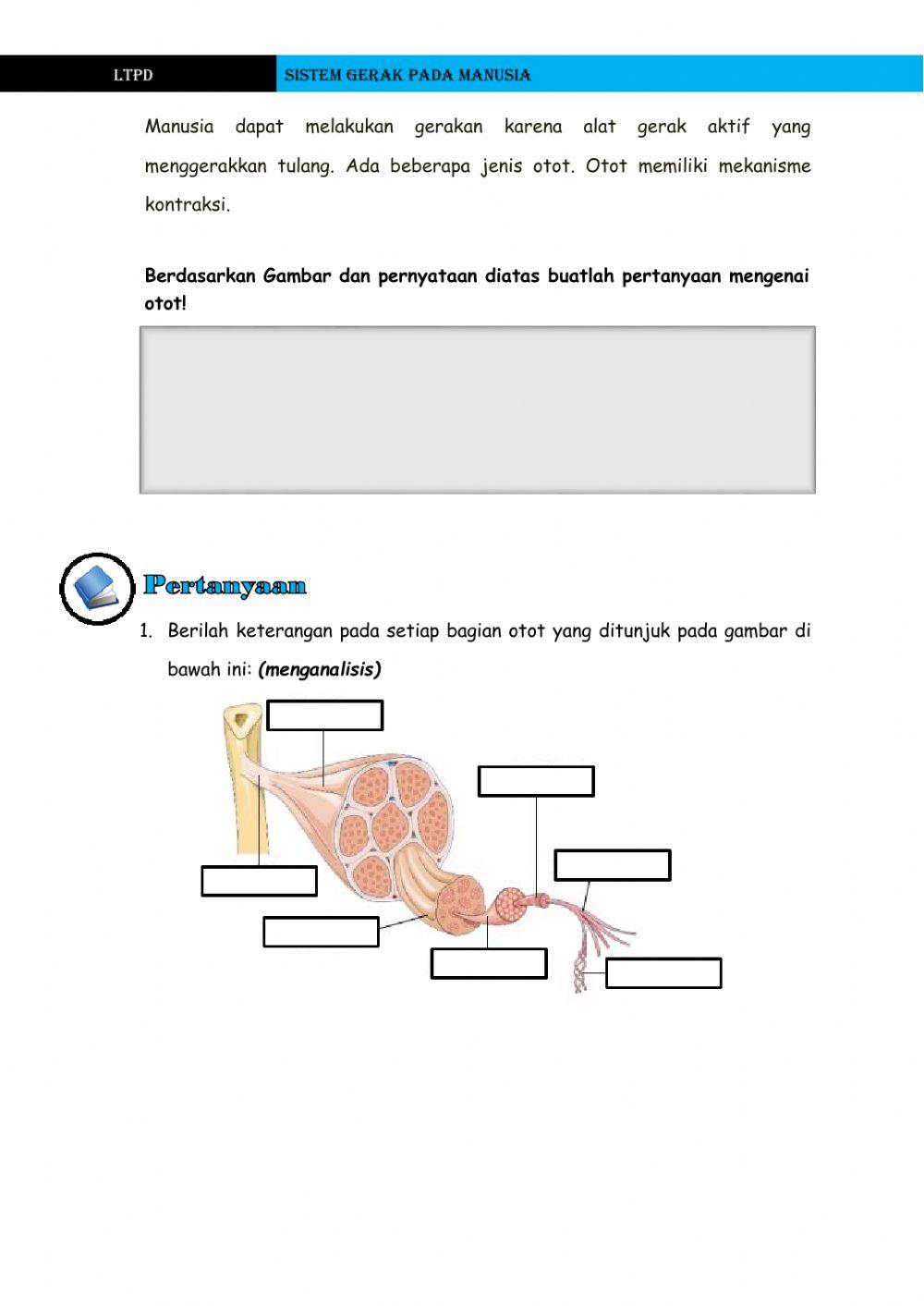 Ltpd 2 (otot) kelas xi mia 3