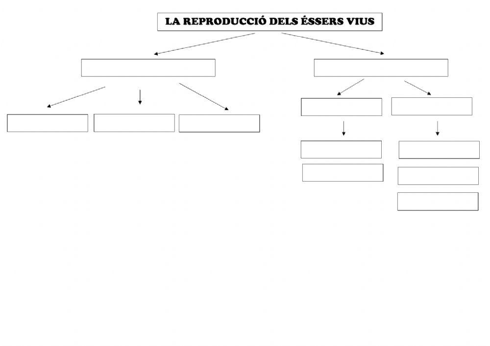La reproducció del ésser vius