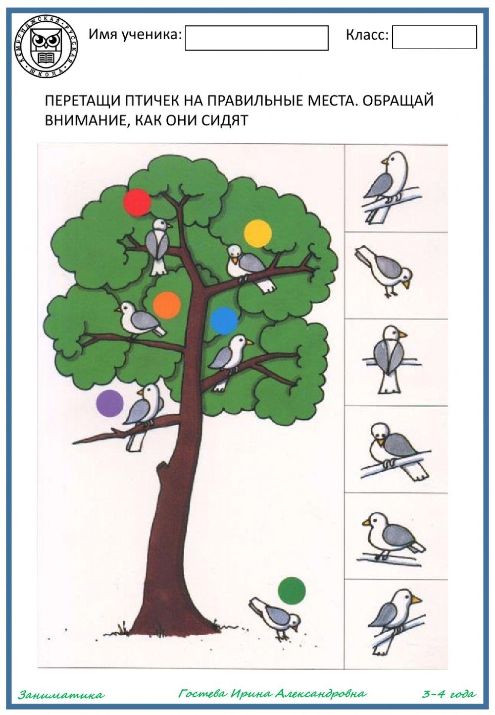 Птицы на дереве