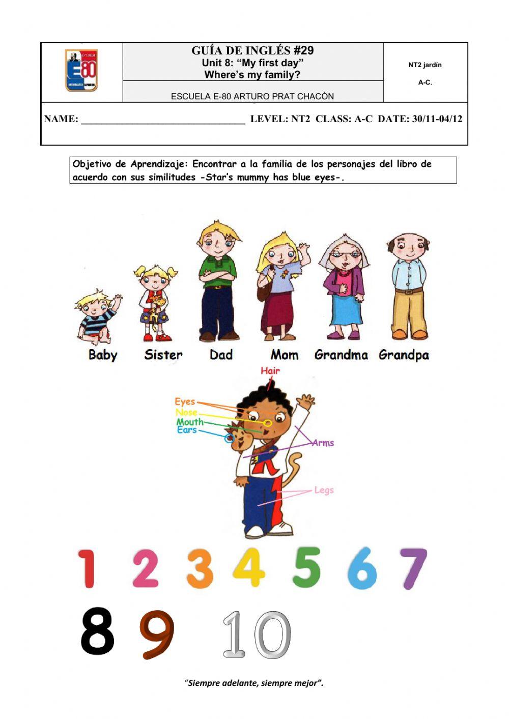Worksheet-29 where's my family? NT2