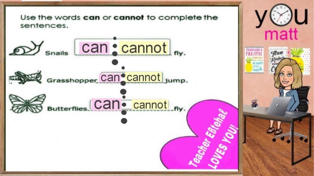 can can
