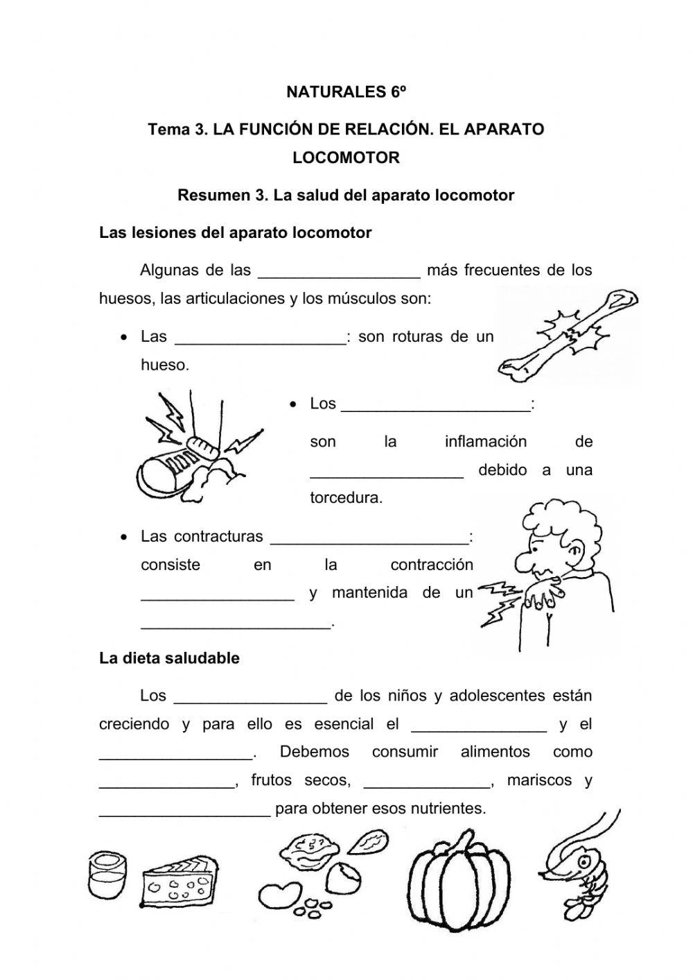 El aparato locomotor