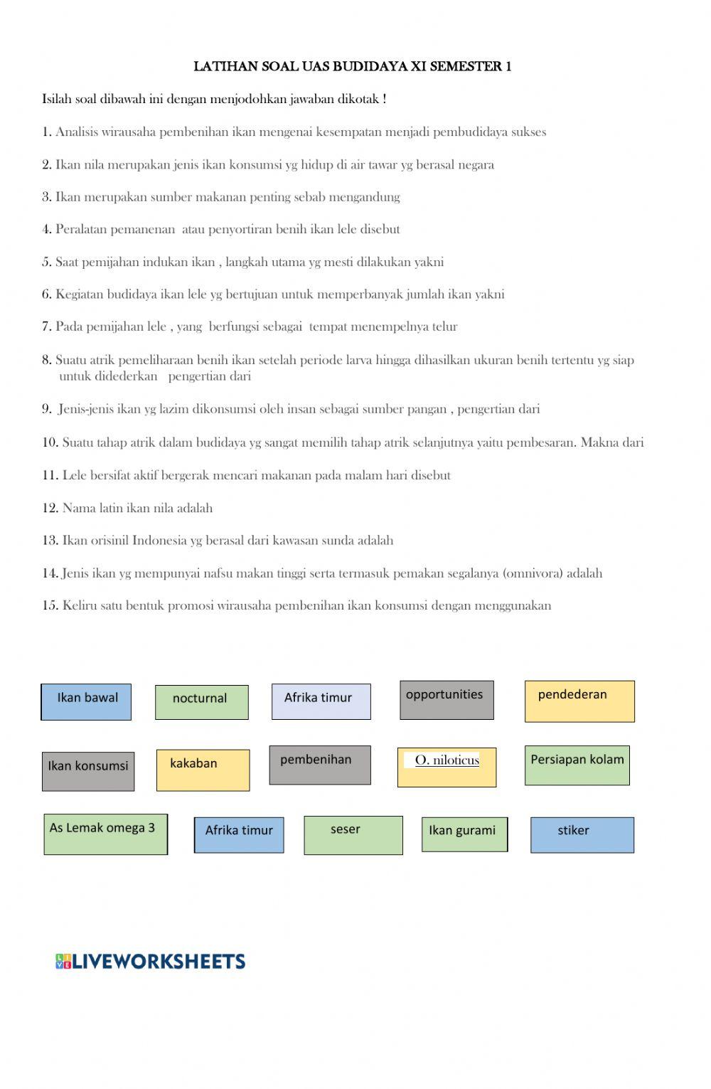 Budidaya ikan konsumsi