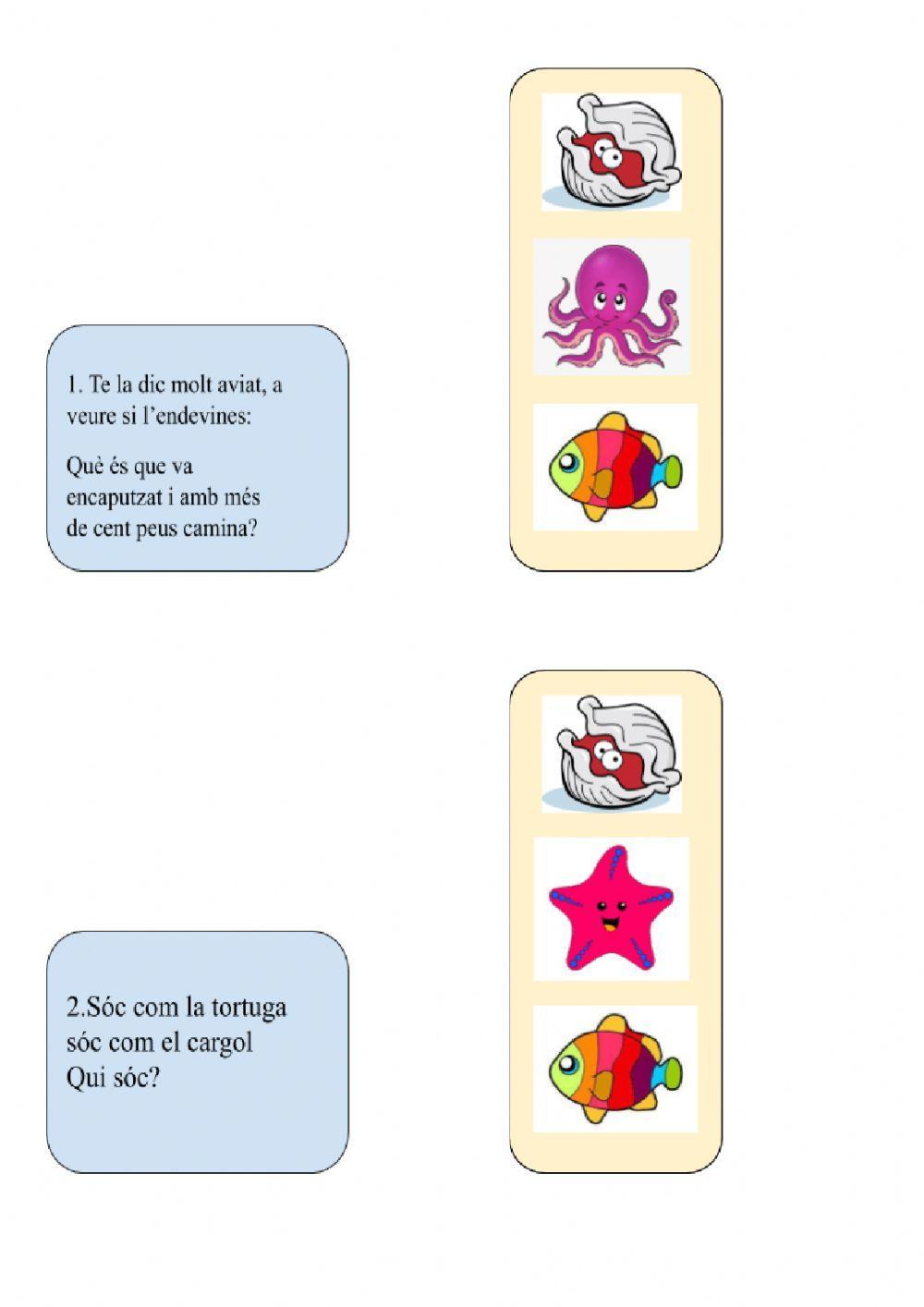 Endevinalles dels animals marins