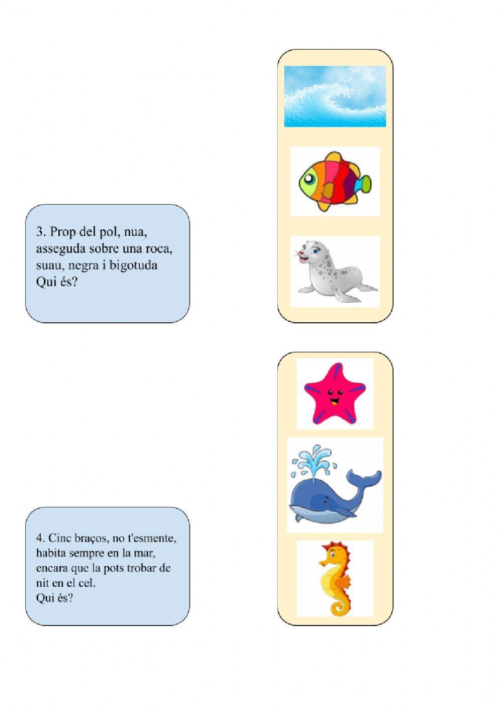 Endevinalles dels animals marins